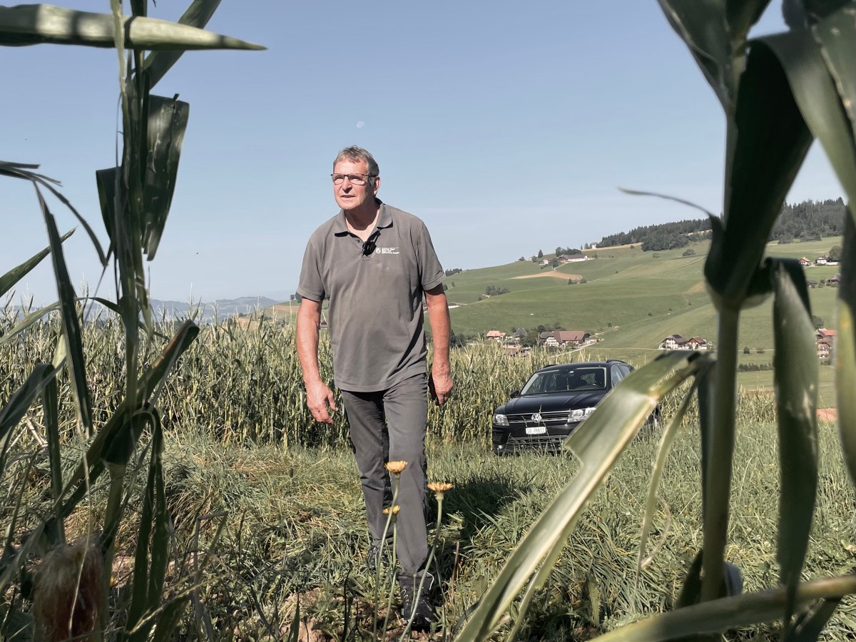 Er kommt, wenn die Erträge  der Bauern zerstört&nbsp;werden