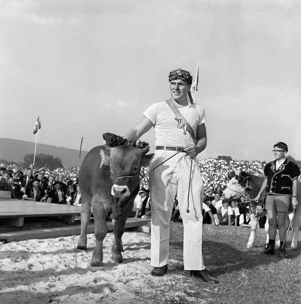 Karl Meli, der Schwingerkoenig des Eidgenoessischen Schwing- und Aelplerfestes am 16. August 1964 in Aarau mit dem traditionellen Preis fuer den Sieger des Turniers, einem Muni. (KEYSTONE/Str)