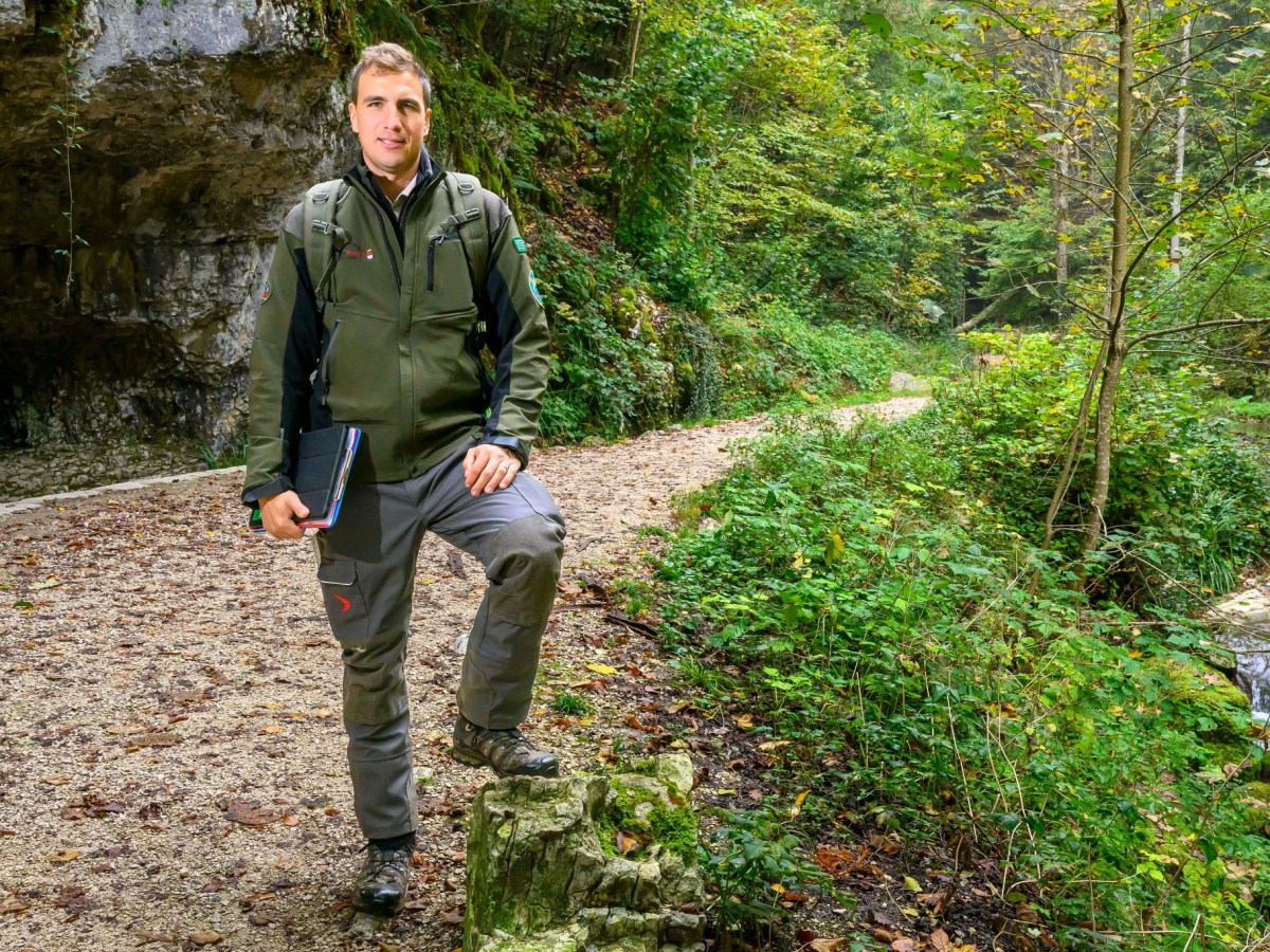 «Der Wald wird nicht mehr gleich respektiert»: Mit dem Ranger im Naturschutzgebiet Verenaschlucht